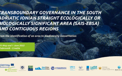 Workshop on ‘Transboundary Governance in the SAIS-EBSA and Contiguous Regions’ – Dubrovnik, 31.05.-01.06.
