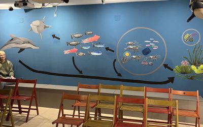 New mural at the Lošinj Marine Education Centre – project “A new view of the Lošinj archipelago”